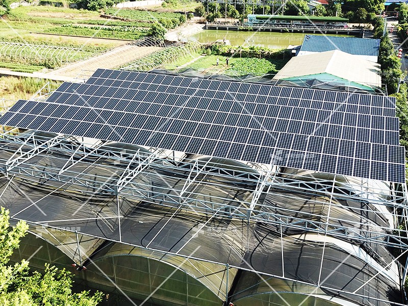 湖北不朽情缘绿色能源有限公司