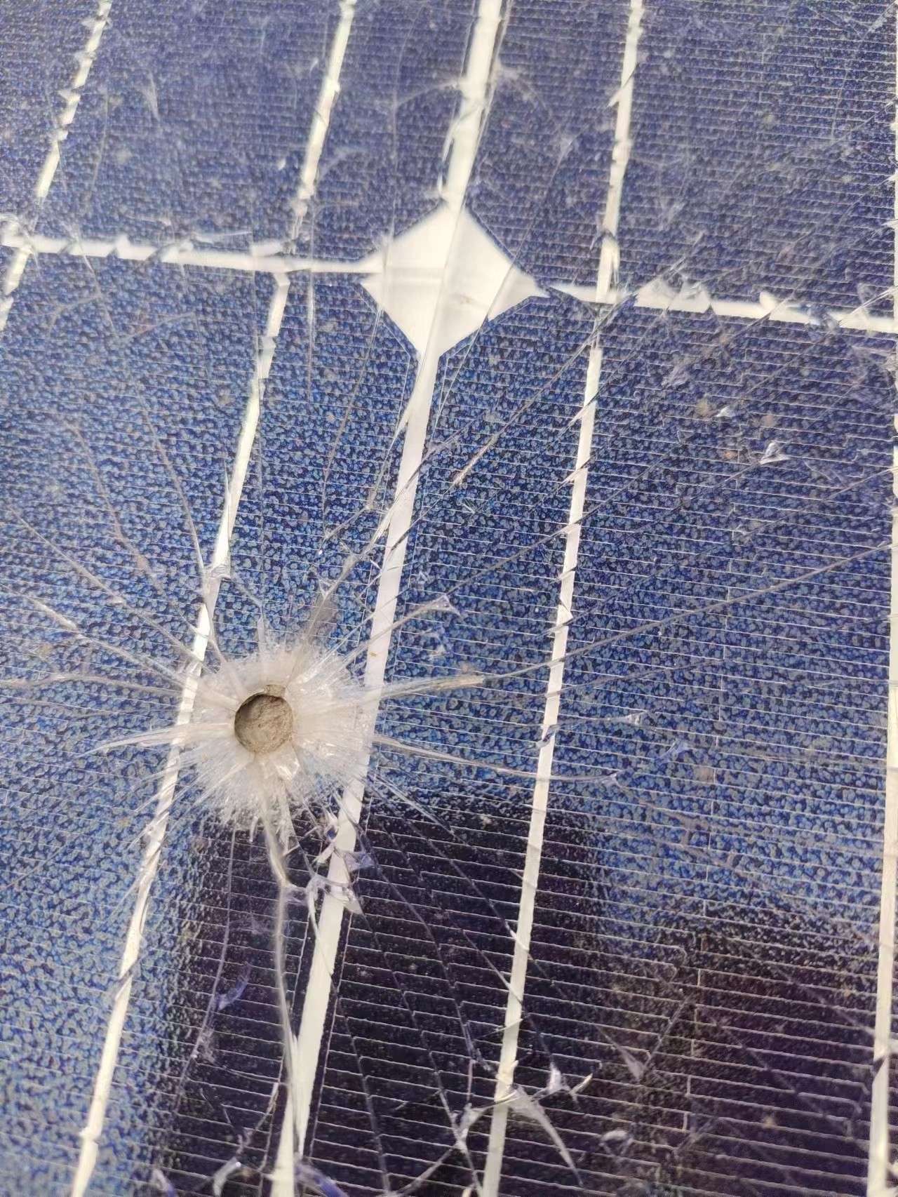 湖北不朽情缘绿色能源有限公司