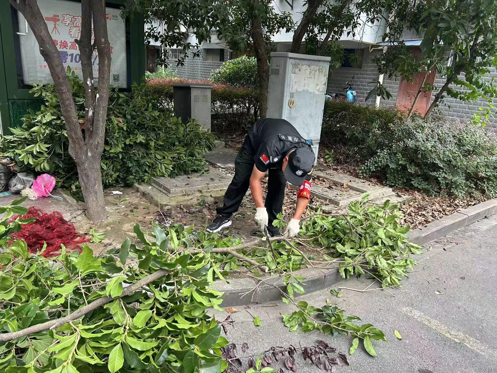 “洁”尽全力 守护优美 | 绣出高颜值，焕新老小区